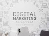 Why does every business need a digital marketing agency?