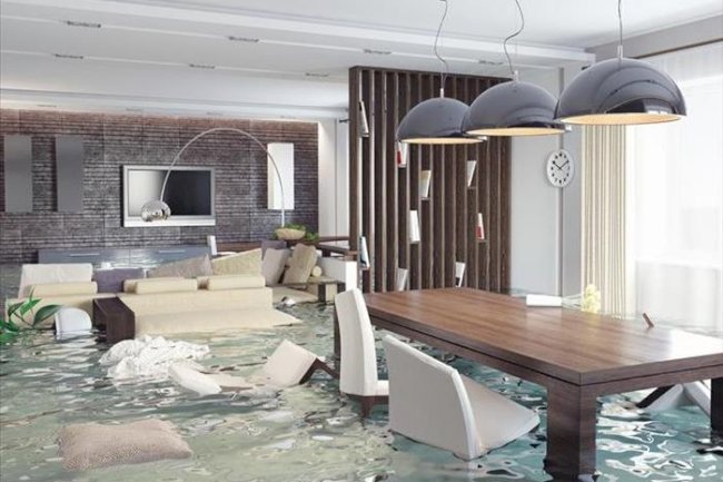 Having Water Damaged Carpets? Here Is What Should You Know? 