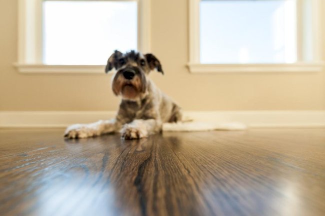 How to Choose the Perfect Flooring for Your Space