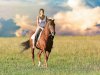 How Far Can a Horse Travel in a Day: Exploring Horse Travel