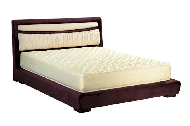 What Are The Economic Factors Related To The Discount Mattresses?