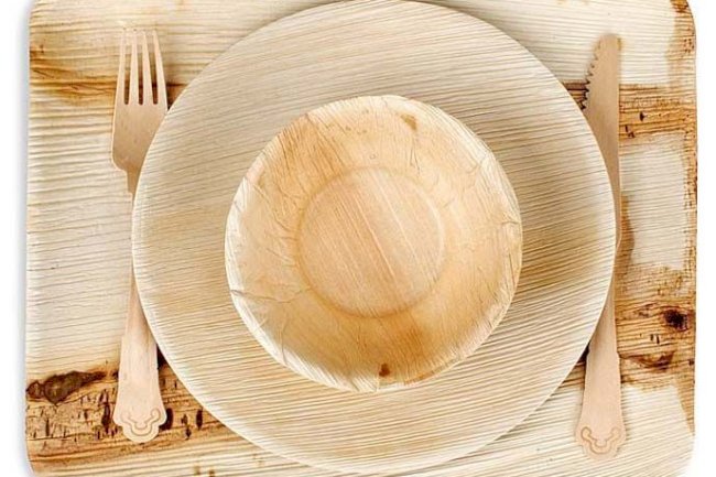 Disposable Party Supplies Tableware In NSW, Australia