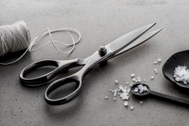Best reviewed kitchen shears and scissors