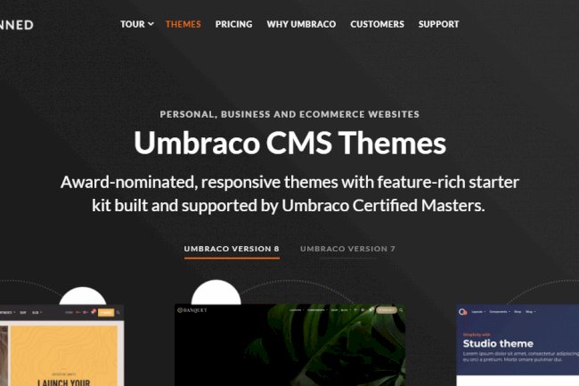 Tips to create attractive websites using Umbraco themes.