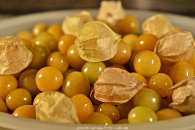 Benefits Of Cut Leaf Ground Cherry For health