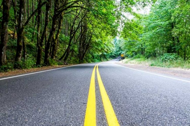 Want to Save Environment? Adopt These Habits and Hit the Road to Sustainability