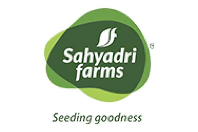 How to Store Vegetables and Keep Them Fresh Without a Fridge?