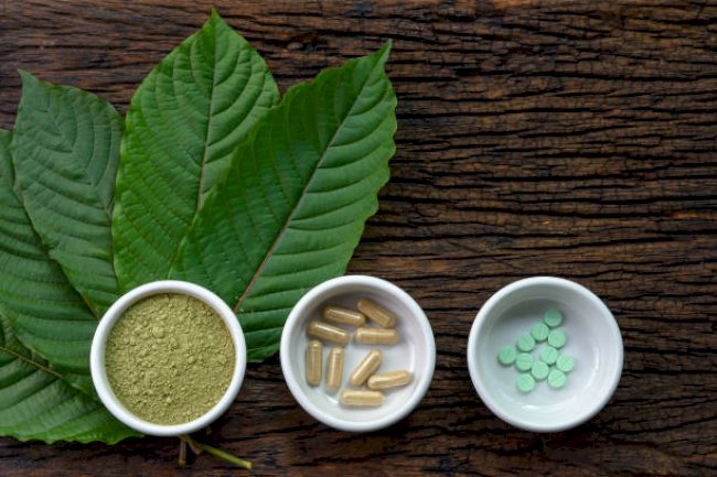 Current Perspectives On Kratom: The Truth About This Controversial Plant