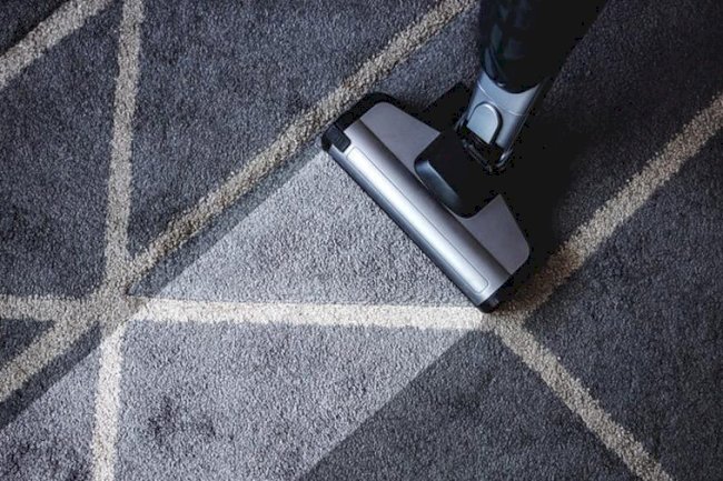 How to find the right Professional Carpet Cleaning Adelaide organisation?