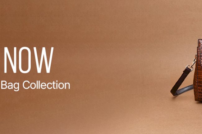 Buy New and Trendy Bags For Women Online In Dubai, Abu Dhabi, UAE