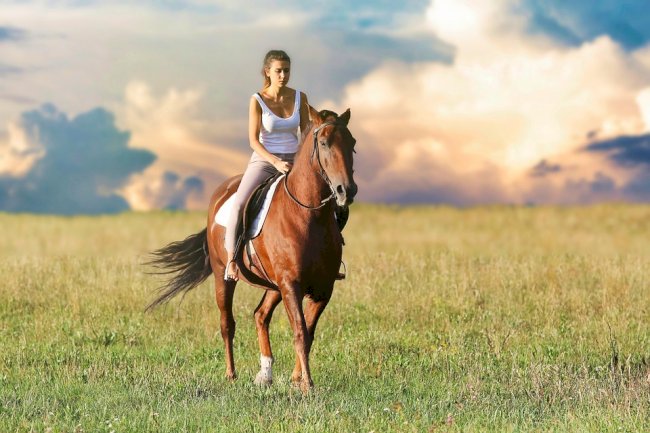 How Far Can a Horse Travel in a Day: Exploring Horse Travel