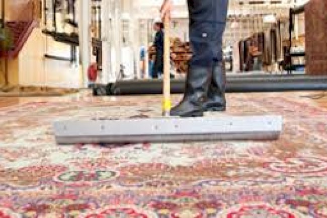 Annual Area Rug Cleaning: A Must for Brooklyn Families with Pets and Kids