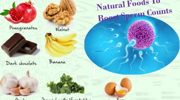 Natural Food diets to Boost Sperm Counts