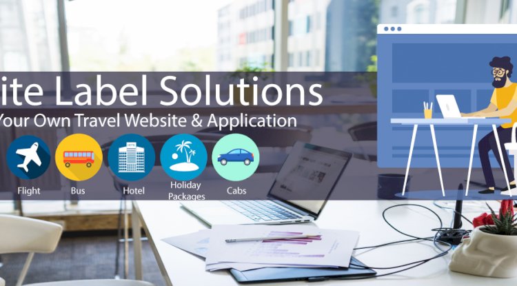 How Travel Portal Software with API Helps Travel Agencies to Enhance Their Resources
