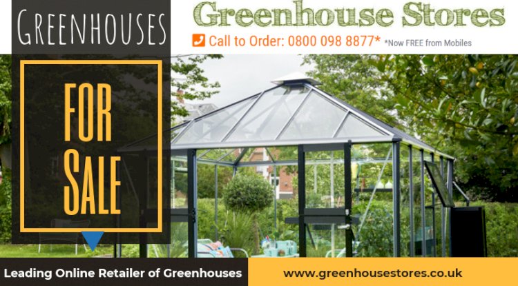  Wooden Greenhouses
