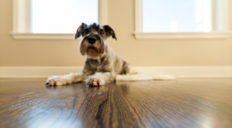 How to Choose the Perfect Flooring for Your Space