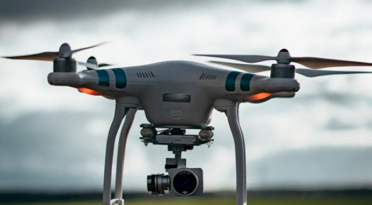 What is cod liver oil?