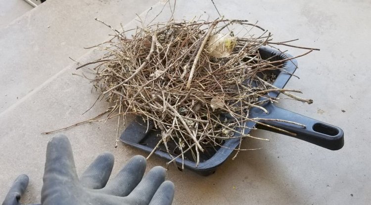 Who offers the best Solar Panel Cleaning Sun City West AZ?