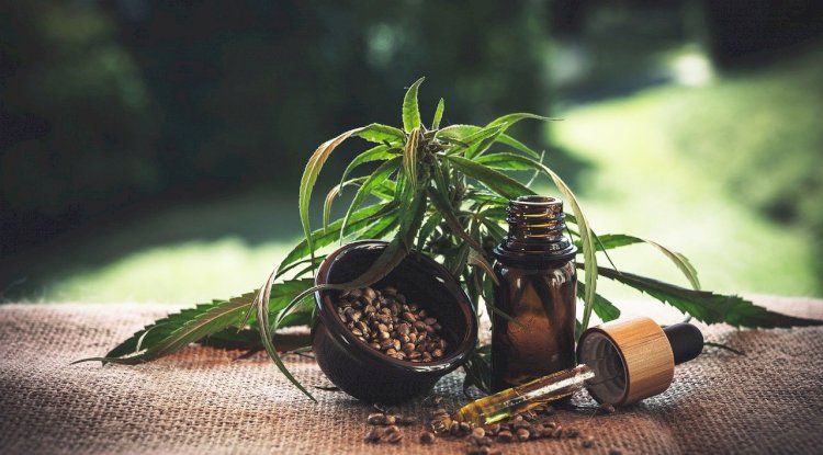 A Guide to Buying and Using CBD Products 