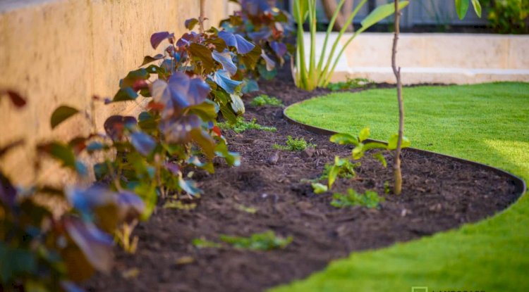 Get the Most From Your Garden with Garden Landscaping