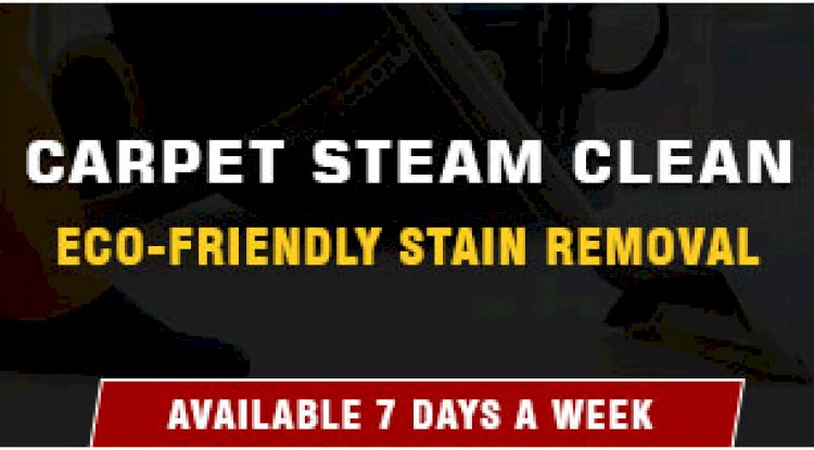 Top 7 tips for a wholesome Carpet cleaning experience