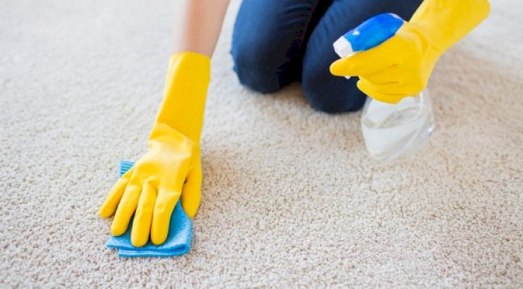 Few Easy Steps to Clean Your Carpet Stains