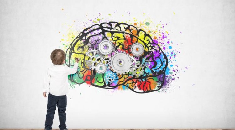 Need to Know that What is Neurodevelopment ?