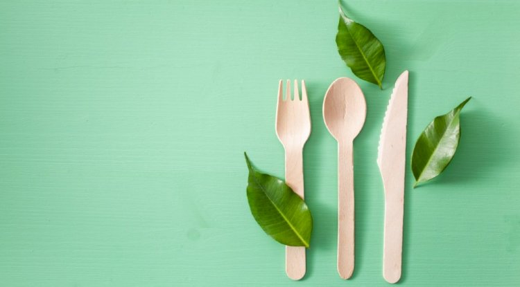 World Environment Day 2020 | How To Celebrate At Home