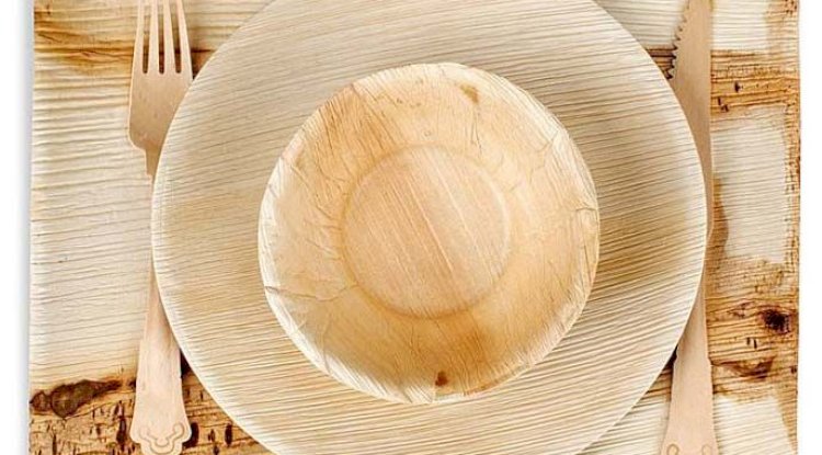 Disposable Party Supplies Tableware In NSW, Australia