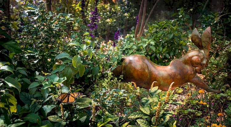 Sculpture And  Statue: Difference And Tips On Selecting One