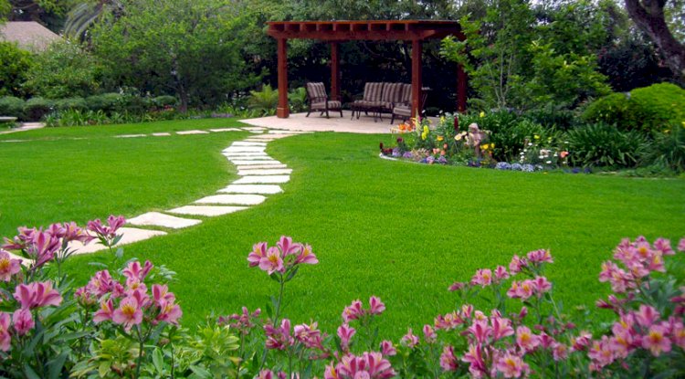 How To Care For Your New Lawn