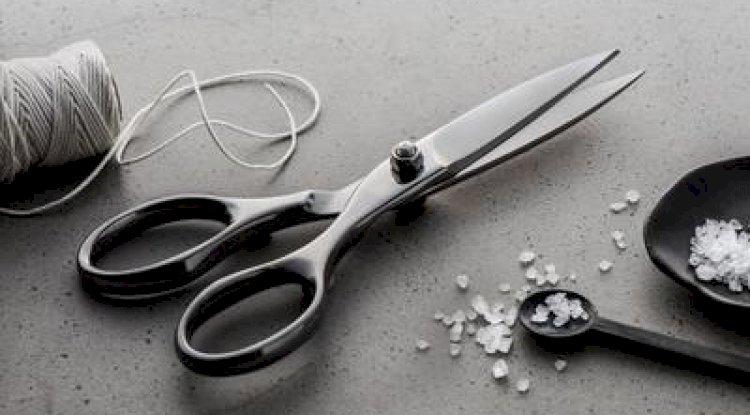 Best reviewed kitchen shears and scissors