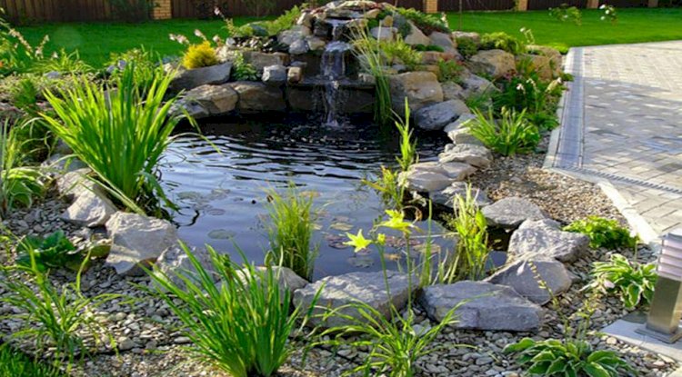 How to Add Beauty, Movement, and Sound to Your Garden