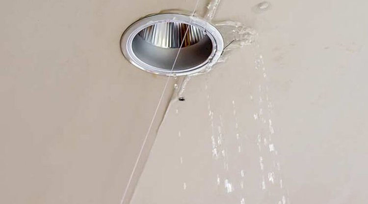 How to Spot the Common Signs of a Water Line Leak?