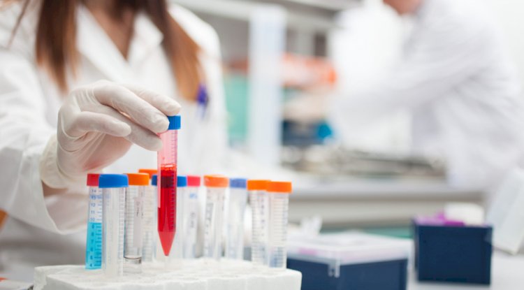 Importance Of Chemical Testing Laboratories: Standards, Testing And Much More