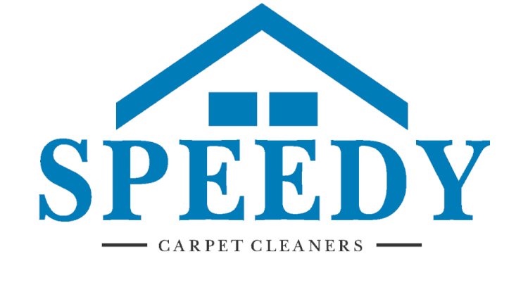 How to clean and sanitize carpet, dry or steam