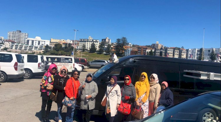 TipTop Transport Solutions