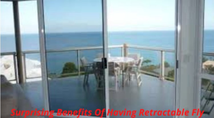 Surprising Benefits Of Having Retractable Fly Screens In Home