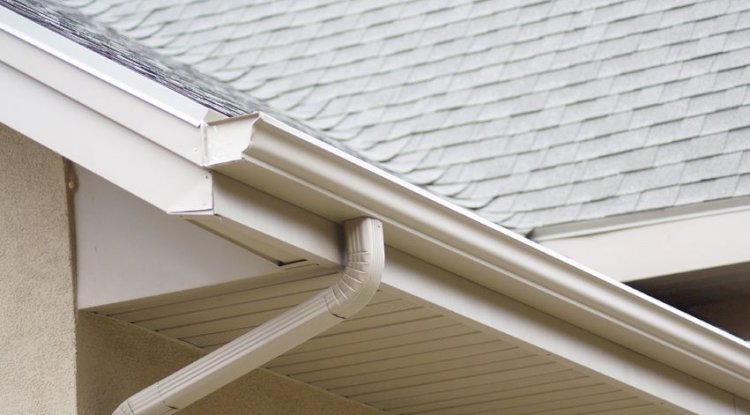 Small Business Coaches Associates - Is Professional Development Important?