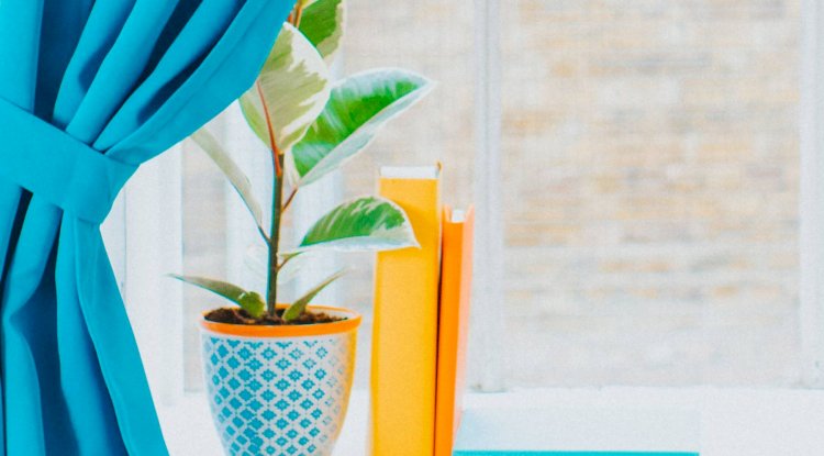 Protect Your Curtains and blinds At Your Level