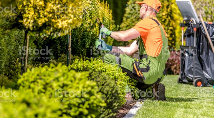  Affordable LS of a summer cottage: ideas for arrangement 