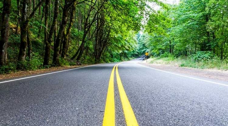 Want to Save Environment? Adopt These Habits and Hit the Road to Sustainability