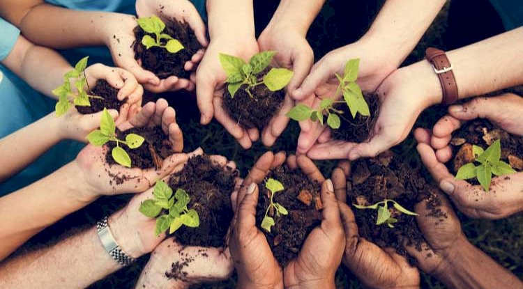 Why Assignment Help Sydney Service is Crucial for the Students?