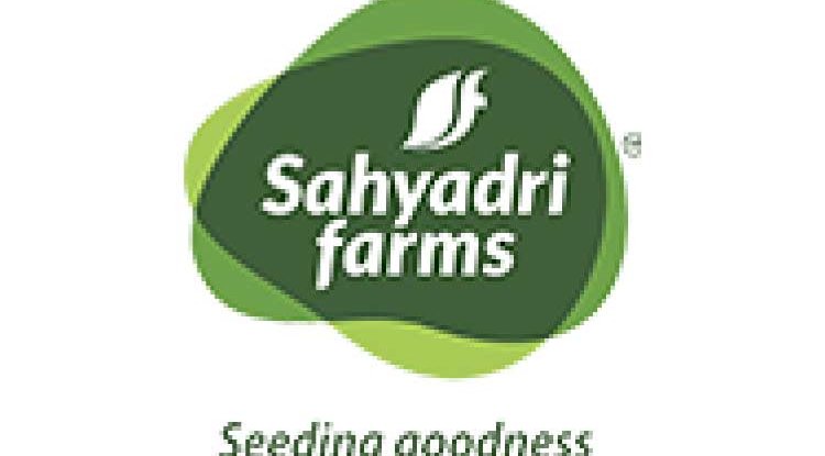 How to Store Vegetables and Keep Them Fresh Without a Fridge?