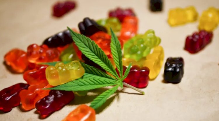 Sweet Treat: The Ultimate Guide to the Best CBD Gummies