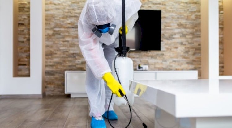 Common Mistakes in Pest Control!