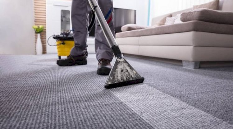 The complete beginner’s guide to carpet cleaning!