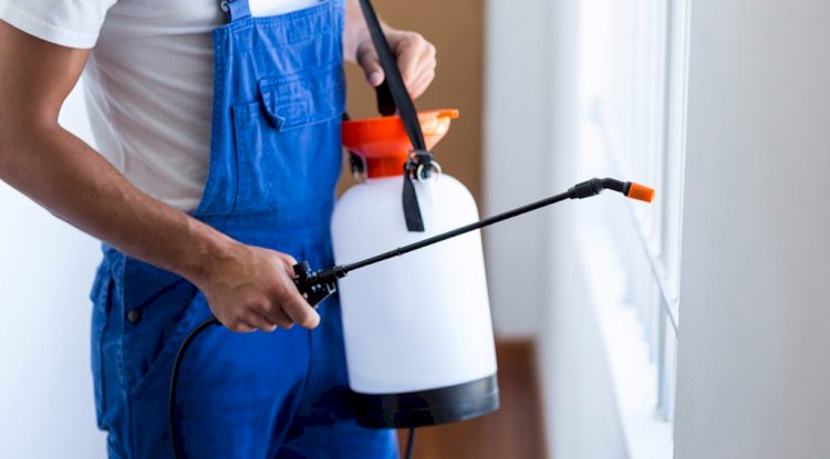 Why is it Fundamental to Hire Professional Pest Control?