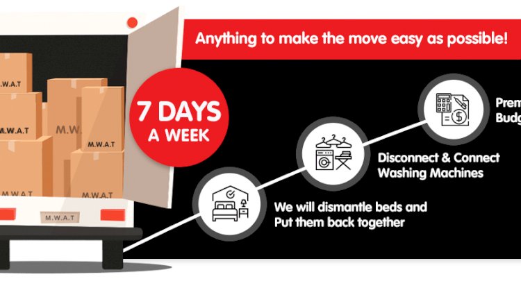 Real fact on Man with a Van