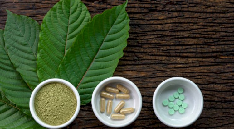 Current Perspectives On Kratom: The Truth About This Controversial Plant